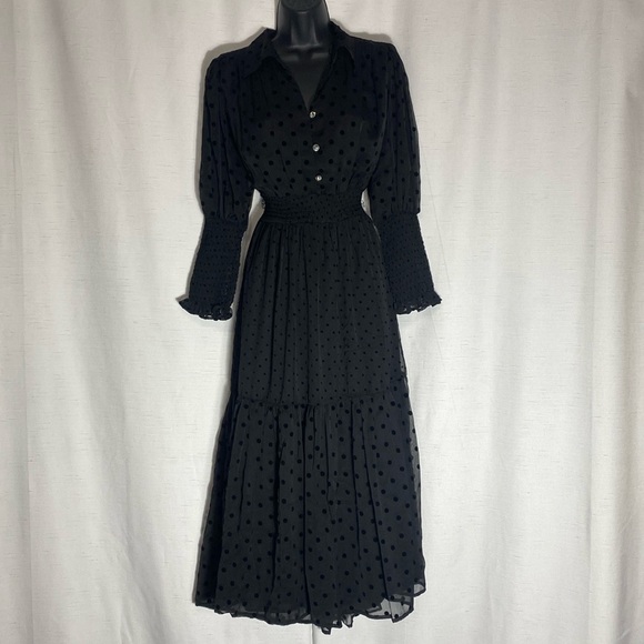 Zara Dresses & Skirts - Zara Dotted Mesh Midi Dress Size M